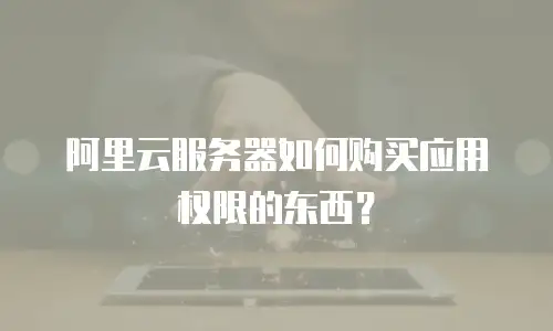 阿里云服务器如何购买应用权限的东西？
