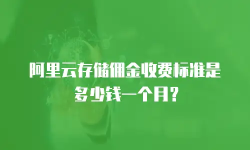 阿里云存储佣金收费标准是多少钱一个月？