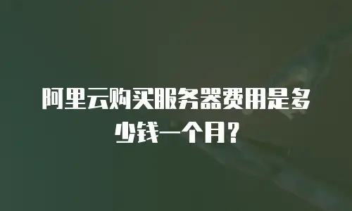 阿里云购买服务器费用是多少钱一个月？