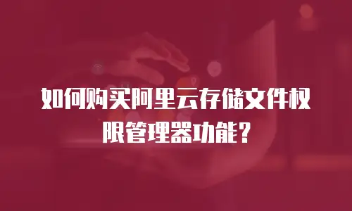 如何购买阿里云存储文件权限管理器功能？
