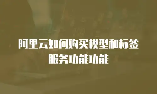 阿里云如何购买模型和标签服务功能功能