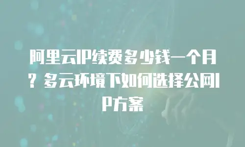 阿里云IP续费多少钱一个月？多云环境下如何选择公网IP方案
