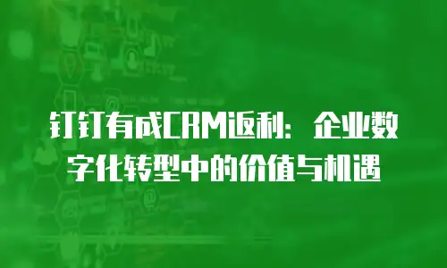钉钉有成CRM返利：企业数字化转型中的价值与机遇