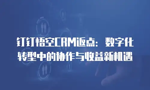钉钉悟空CRM返点：数字化转型中的协作与收益新机遇