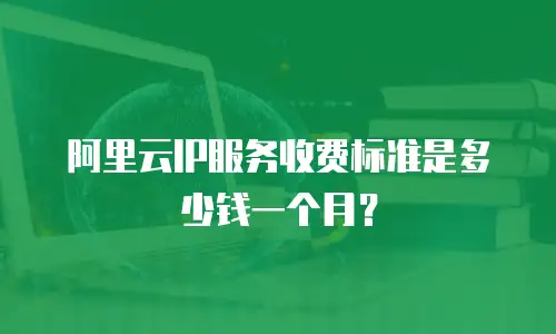 阿里云IP服务收费标准是多少钱一个月？