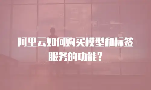 阿里云如何购买模型和标签服务的功能？