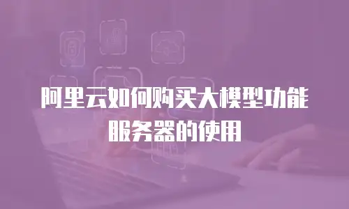 阿里云如何购买大模型功能服务器的使用
