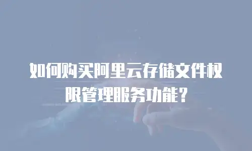 如何购买阿里云存储文件权限管理服务功能？