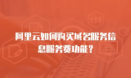 阿里云如何购买域名服务信息服务费功能？