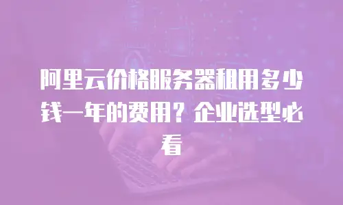 阿里云价格服务器租用多少钱一年的费用？企业选型必看