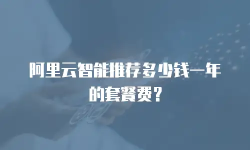 阿里云智能推荐多少钱一年的套餐费？