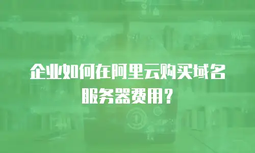 企业如何在阿里云购买域名服务器费用？
