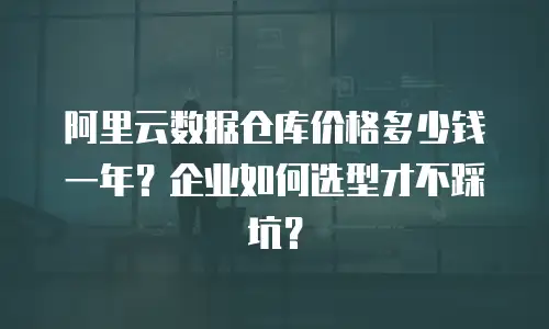 阿里云数据仓库价格多少钱一年？企业如何选型才不踩坑？