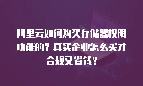 阿里云如何购买存储器权限功能的？真实企业怎么买才合规又省钱？