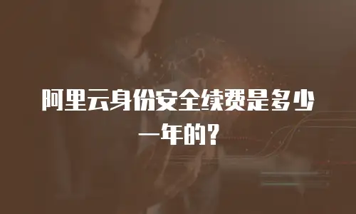 阿里云身份安全续费是多少一年的？