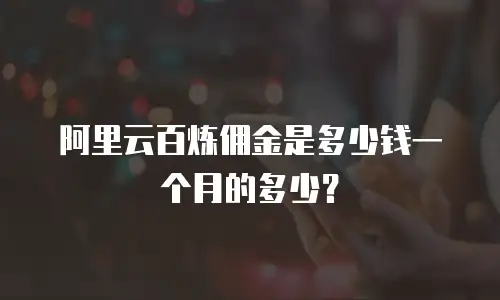 阿里云百炼佣金是多少钱一个月的多少？