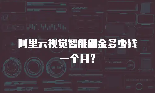 阿里云视觉智能佣金多少钱一个月？