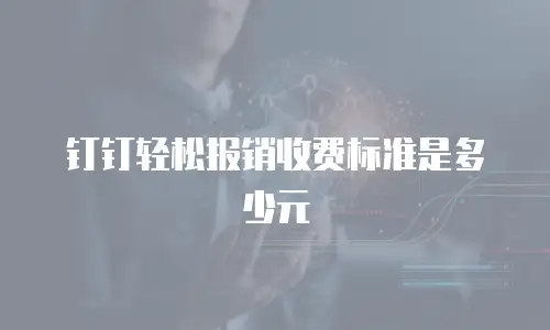 钉钉轻松报销收费标准是多少元