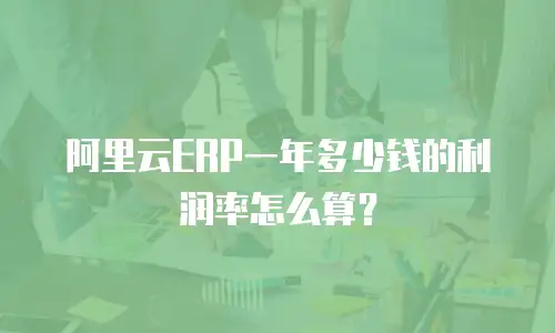 阿里云ERP一年多少钱的利润率怎么算？