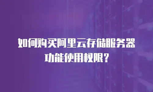 如何购买阿里云存储服务器功能使用权限？