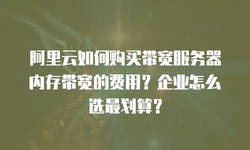 阿里云如何购买带宽服务器内存带宽的费用？企业怎么选最划算？
