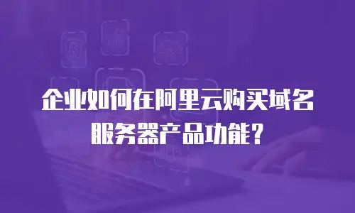 企业如何在阿里云购买域名服务器产品功能？