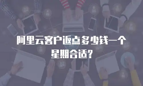 阿里云客户返点多少钱一个星期合适？