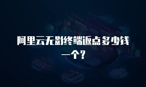 阿里云无影终端返点多少钱一个？
