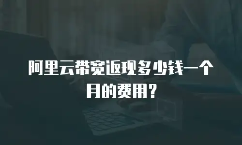 阿里云带宽返现多少钱一个月的费用？