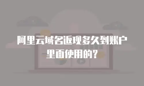 阿里云域名返现多久到账户里面使用的？