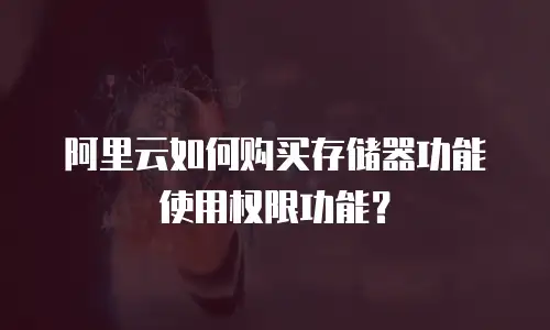 阿里云如何购买存储器功能使用权限功能？