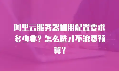 阿里云服务器租用配置要求多少兆？怎么选才不浪费预算？