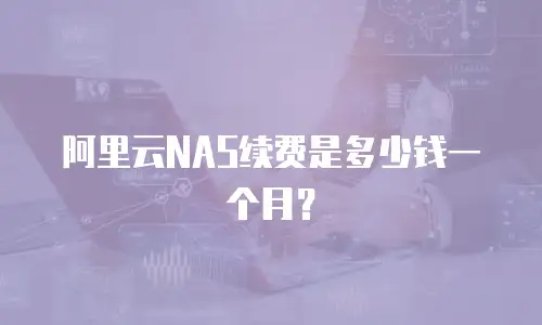 阿里云NAS续费是多少钱一个月？