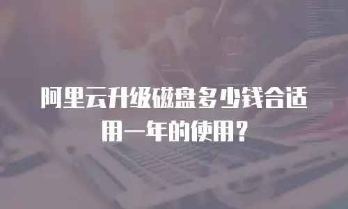 阿里云升级磁盘多少钱合适用一年的使用？