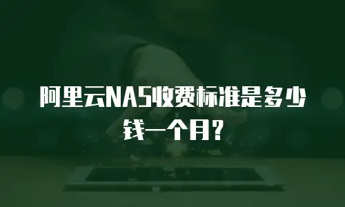 阿里云NAS收费标准是多少钱一个月？