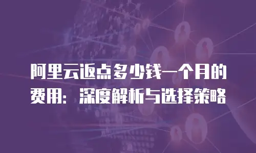 阿里云返点多少钱一个月的费用：深度解析与选择策略