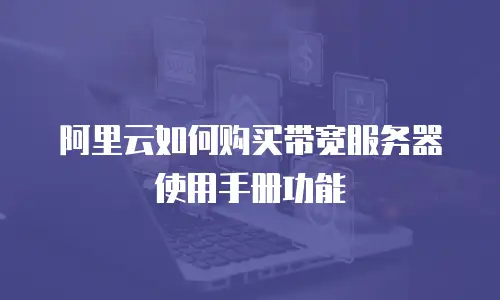 阿里云如何购买带宽服务器使用手册功能