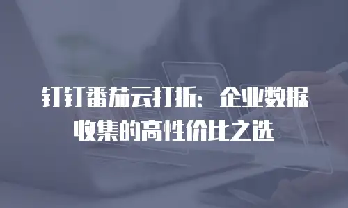 钉钉番茄云打折：企业数据收集的高性价比之选