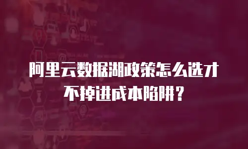 阿里云数据湖政策怎么选才不掉进成本陷阱？