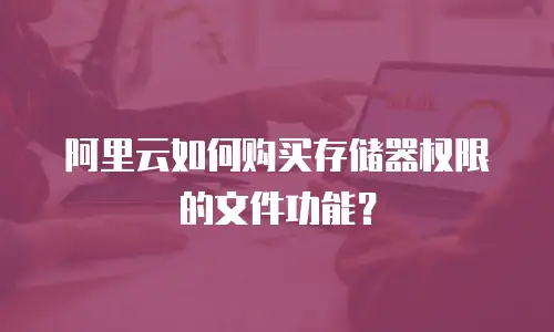 阿里云如何购买存储器权限的文件功能？