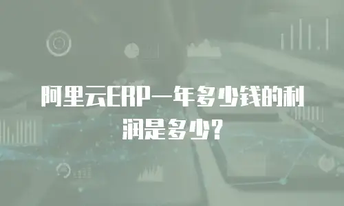 阿里云ERP一年多少钱的利润是多少？