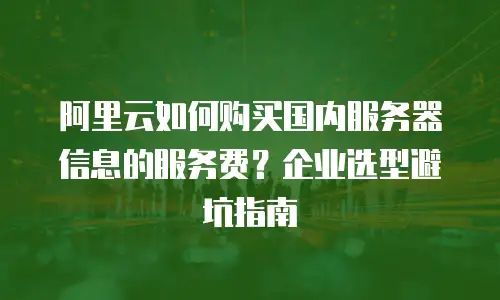 阿里云如何购买国内服务器信息的服务费？企业选型避坑指南