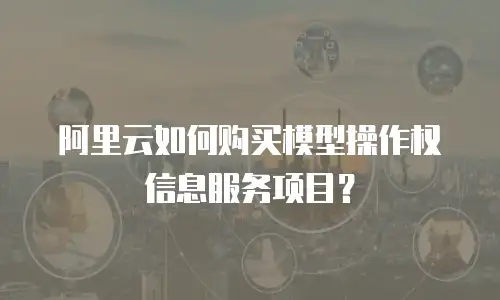 阿里云如何购买模型操作权信息服务项目？