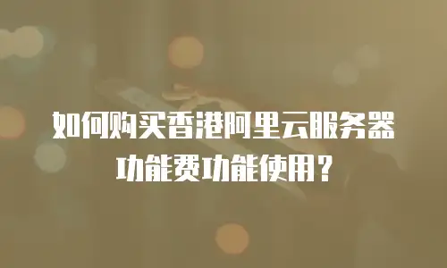 如何购买香港阿里云服务器功能费功能使用？