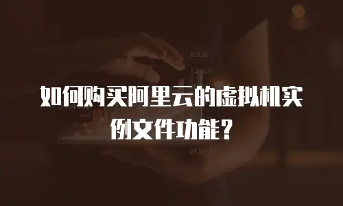 如何购买阿里云的虚拟机实例文件功能？