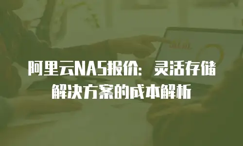 阿里云NAS报价：灵活存储解决方案的成本解析
