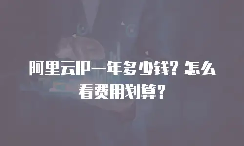 阿里云IP一年多少钱？怎么看费用划算？