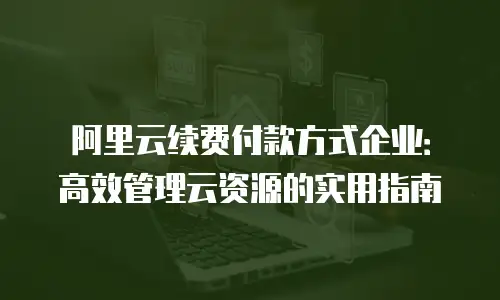 阿里云续费付款方式企业：高效管理云资源的实用指南