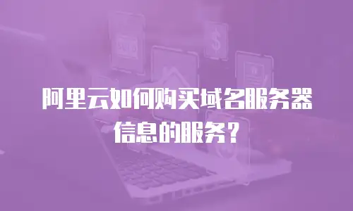 阿里云如何购买域名服务器信息的服务？