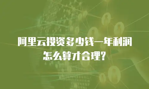 阿里云投资多少钱一年利润怎么算才合理？